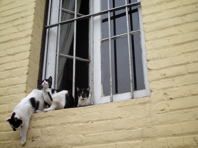 CL Valparaiso Window
